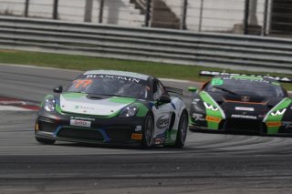 #77 Jean Marc Merlin Frank Yu Craft-Bamboo Racing Porsche Cayman GT4 Clubsport MR Sepang 2018 | Blancpain GT Series Asia