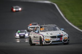 #81	BMW Team Studie	Takayuki Kinoshita	Sunako Jukuchou	BMW M4 GT4	Fuji 2018 | Blancpain GT Series Asia