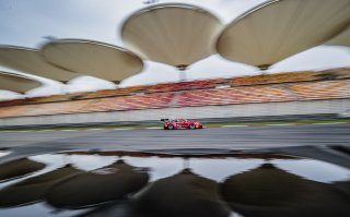 #991	Craft-Bamboo Racing	Porsche 991 GT3 R	Aidan Read	Darryl O'Young	Shanghai 2018 | Blancpain GT Series Asia
