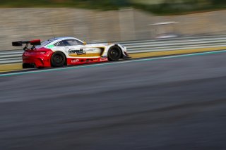 #999	Nico Bastian	Patric Niederhauser	GruppeM Racing Team	Mercedes-AMG GT3	Ningbo 2018 | Blancpain GT Series Asia