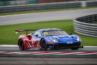 #75	T2 Motorsports	Ferrari 488 GT3	David Tjiptobiantoro	Rio Haryanto	Ferrari 488 GT3	Sepang 2019 | Blancpain GT Series Asia