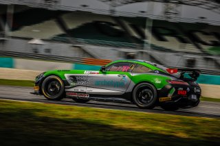 Testing #77	Craft-Bamboo Racing	Mercedes-AMG GT4	Frank Yu	Jean-Marc Merlin	Mercedes-AMG GT4	Sepang 2019 | Blancpain GT Series Asia