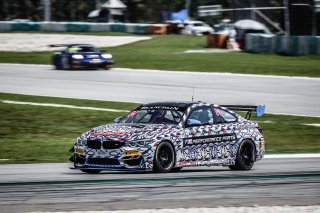 Race 2 #81	BMW Team Studie	BMW M4 GT4	Takayuki Kinoshita	Sunako Jukuchou	BMW M4 GT4	Sepang 2019 | Blancpain GT Series Asia