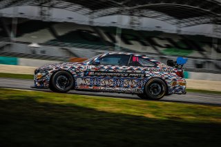 Testing #81	BMW Team Studie	BMW M4 GT4	Takayuki Kinoshita	Sunako Jukuchou	BMW M4 GT4	Sepang 2019 | Blancpain GT Series Asia
