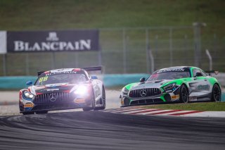 #88	Craft-Bamboo Racing	Mercedes-AMG GT3	Jeffrey Lee	Alessio Picariello	Mercedes-AMG GT3	Sepang 2019 | Blancpain GT Series Asia