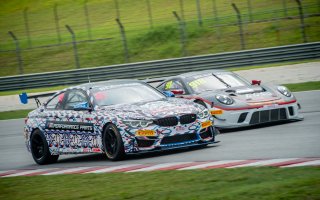 Testing #81	BMW Team Studie	BMW M4 GT4	Takayuki Kinoshita	Sunako Jukuchou	BMW M4 GT4	Sepang 2019 | Blancpain GT Series Asia