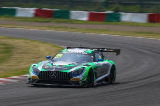 #99	Craft-Bamboo Racing	Mercedes-AMG GT3	Darryl O'Young	Christina Nielsen	Suzuka 2019 | Blancpain GT Series Asia