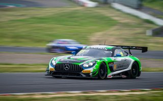 #99	Craft-Bamboo Racing	Mercedes-AMG GT3	Darryl O'Young	Christina Nielsen	Suzuka 2019 | Blancpain GT Series Asia