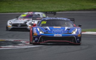 #75	T2 Motorsports	David Tjiptobiantoro	Rio Haryanto	Ferrari 488 GT3	Fuji 2019 | Blancpain GT Series Asia