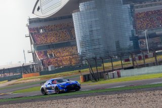 #11	GTO Racing with TTR	Mercedes-AMG GT4	Brian Lee	Tony Fong 	Shanghai 2019	 | Blancpain GT Series Asia