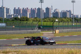 #12	Audi Sport Asia Team Absolute Racing	Audi R8 LMS GT3 2019	Martin Rump 	Weiron Tan	Shanghai 2019	 | Blancpain GT Series Asia