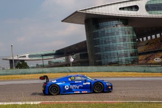 #13	Audi Sport Asia Team Absolute Racing	Audi R8 LMS GT3 2019	Sun Jingzu	Cheng Congfu	Shanghai 2019	 | Blancpain GT Series Asia