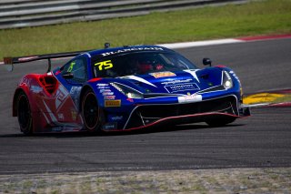 #75	T2 Motorsports	Ferrari 488 GT3	David Tjiptobiantoro	Rio Haryanto	Shanghai 2019	 | Blancpain GT Series Asia
