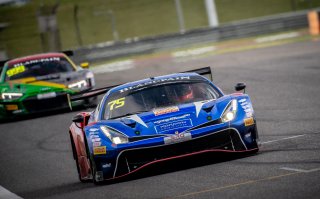 #75	T2 Motorsports	Ferrari 488 GT3	David Tjiptobiantoro	Rio Haryanto	Shanghai 2019 | Blancpain GT Series Asia