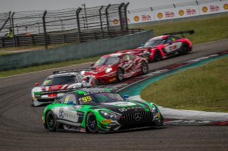 #99	Craft-Bamboo Racing	Mercedes-AMG GT3	Darryl O'Young	Christina Nielsen	Shanghai 2019	 | Blancpain GT Series Asia