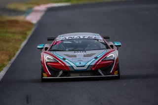 	17	CREF Motor Sport	Yuko Suzuki	Masataka Inoue 	McLaren 570S GT4									 | Blancpain GT Series Asia