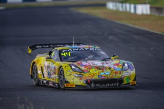 	44	Bingo Racing	Bankcy	Shinji Takei	Corvette C7 GT3-R									 | Blancpain GT Series Asia