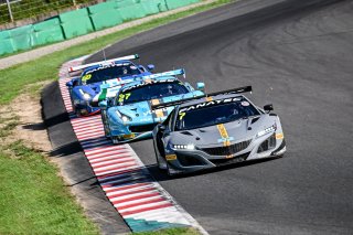 7 Comet Racing	Yusuke Yamasaki	Yorikatsu Tsujiko	Honda NSX GT3 EVO | Blancpain GT Series Asia