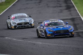 14	GTO Racing Team	Brian Lee	Hideto Yasuoka	Mercedes-AMG GT4 | Blancpain GT Series Asia