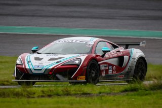 17	CREF Motor Sport	Yuko Suzuki	Masataka Inoue 	McLaren 570S GT4 | Blancpain GT Series Asia