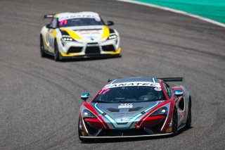 17	CREF Motor Sport	Yuko Suzuki	Masataka Inoue 	McLaren 570S GT4 | Blancpain GT Series Asia