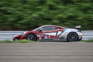 17	CREF Motor Sport	Yuko Suzuki	Masataka Inoue 	McLaren 570S GT4 | Blancpain GT Series Asia