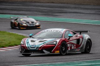 17	CREF Motor Sport	Yuko Suzuki	Masataka Inoue 	McLaren 570S GT4 | Blancpain GT Series Asia