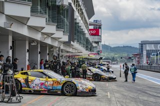 9	BINGO Racing	Shinji Takei	Akira Iida	Corvette C7 GT3-R | SRO Motorsports Group