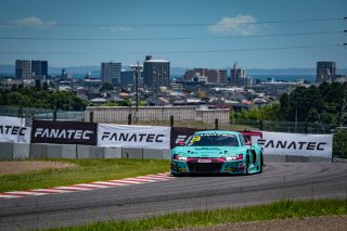 29	Phantom Pro Racing	Ling Kang	Cao Qi 	Audi R8 LMS GT3 EVO II  | SRO Motorsports Group