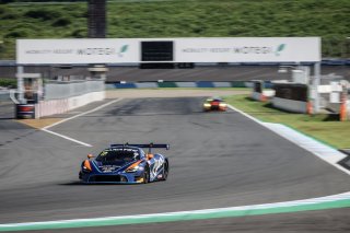17	CREF Motor Sport	Yuko Suzuki	Masataka Inoue 	McLaren 720S GT3 | SRO Motorsports Group