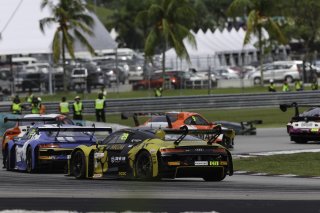 29	Phantom Pro Racing	Cao Qi 	Ling Kang	Audi R8 LMS GT3 EVO II  | SRO Motorsports Group