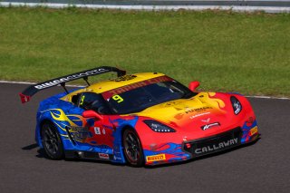 9	BINGO Racing	Shinji Takei	Ukyo Sasahara	Corvette C7 GT3-R Japan Cup Sugo | SRO Motorsports Group