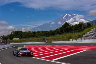 888 Triple Eight JMR H.H. Prince Abu Bakar Ibrahim Luca Stolz Mercedes-AMG GT3 EVO | Fanatec GT World Challenge Asia | SRO Motorsports Group