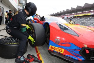 9	BINGO Racing	Shinji Takei	Motoki Takami	Corvette C7 GT3-R | SRO Motorsport Group