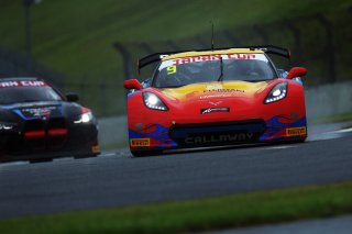 9	BINGO Racing	Shinji Takei	Motoki Takami	Corvette C7 GT3-R	Japan Cup | SRO Motorsport Group