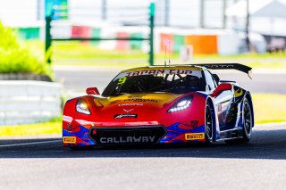 9	BINGO Racing	Shinji Takei	Motoki	Corvette C7 GT3-R | SRO Motorsports Group