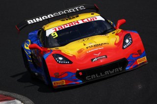 9	BINGO Racing	Shinji Takei	Motoki	Corvette C7 GT3-R | SRO Motorsport Group