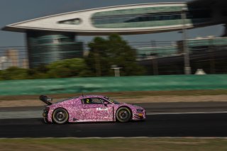 2	Phantom Global Racing	Hu Bo	Dylan Pereira	Audi R8 LMS GT3 EVO II  | SRO Motorsport Group