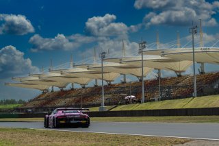 2	Phantom Global Racing	Hu Bo	Dylan Pereira	Audi R8 LMS GT3 EVO II  | SRO Motorsport Group