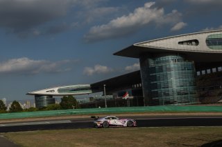 30	Craft-Bamboo Racing	Cao Qi 	Daniel Morad	Mercedes-AMG GT3 EVO | SRO Motorsport Group