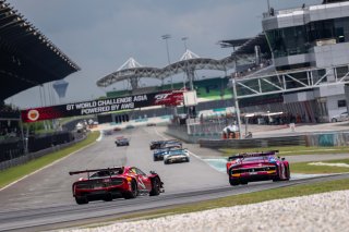60	LM Corsa 	Kei Nakanishi	Shigekazu Wakisaka	Ferrari 296 GT3 | SRO Motorsport Group