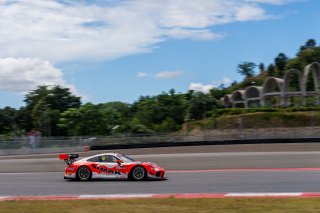 51	AMAC Motorsport	William Ben Porter	Andrew Macpherson	Porsche 911 GT3 R (991.2) | SRO Motorsport Group