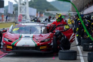 60	LM Corsa 	Shigekazu Wakisaka	Giancarlo Fisichella	Ferrari 296 GT3 | SRO Motorsport Group
