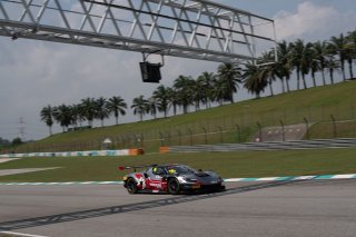 96	Winhere Harmony Racing	Deng Yi	Liu Kaishun	Ferrari 296 GT3 Evo | SRO Motorsport Group