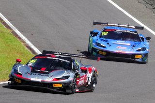 96	Winhere Harmony Racing	Deng Yi	Liu Kaishun	Ferrari 296 GT3 | SRO Motorsport Group