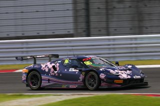96	Harmony Racing		Chen Weian			Liu Kaishun	Ferrari 296 GT3 | SRO Motorsports Group