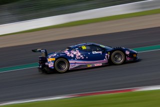 96	Harmony Racing	Chen Weian	Liu Kaishun***	Ferrari 296 GT3 | SRO Motorsport Group