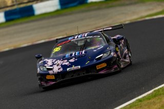 96	Harmony Racing	Chen Weian	Liu Kaishun***	Ferrari 296 GT3 | SRO Motorsport Group