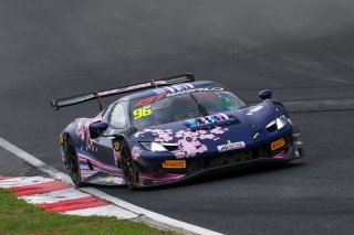 96	Harmony Racing	Chen Weian	Liu Kaishun***	Ferrari 296 GT3 | SRO Motorsport Group